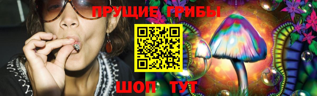 Таганрог  Галлюциногенные грибы GOLDEN TEACHER  Вход с VPN 